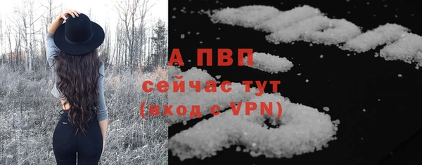 ГАЛЛЮЦИНОГЕННЫЕ ГРИБЫ Горняк