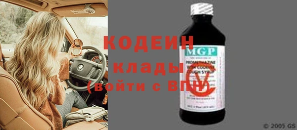 индика Горно-Алтайск