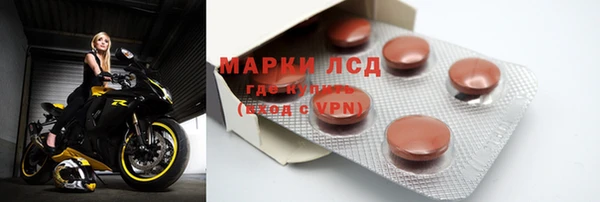 ГАЛЛЮЦИНОГЕННЫЕ ГРИБЫ Горняк