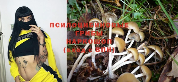 индика Горно-Алтайск