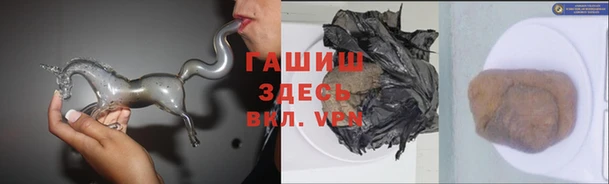 индика Горно-Алтайск