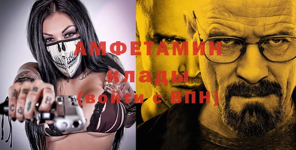 индика Горно-Алтайск