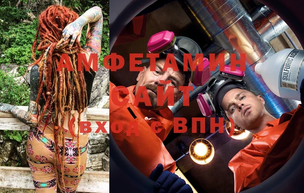 ГАЛЛЮЦИНОГЕННЫЕ ГРИБЫ Горняк