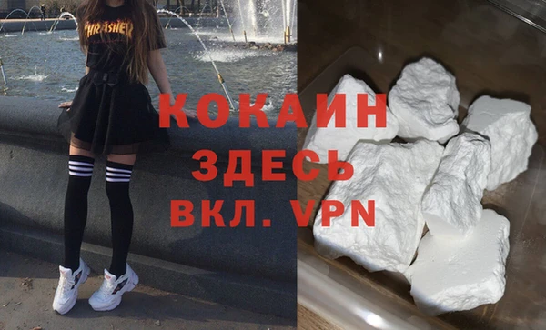 ГАЛЛЮЦИНОГЕННЫЕ ГРИБЫ Горняк