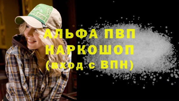 индика Горно-Алтайск