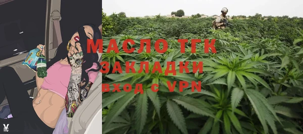 индика Горно-Алтайск
