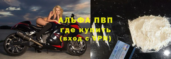 индика Горно-Алтайск