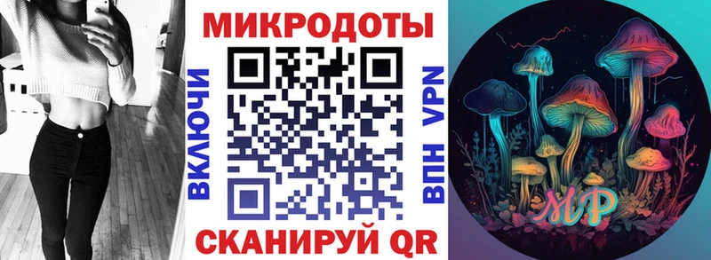 Купить где Артёмовский Псилоцибиновые грибы мицелий